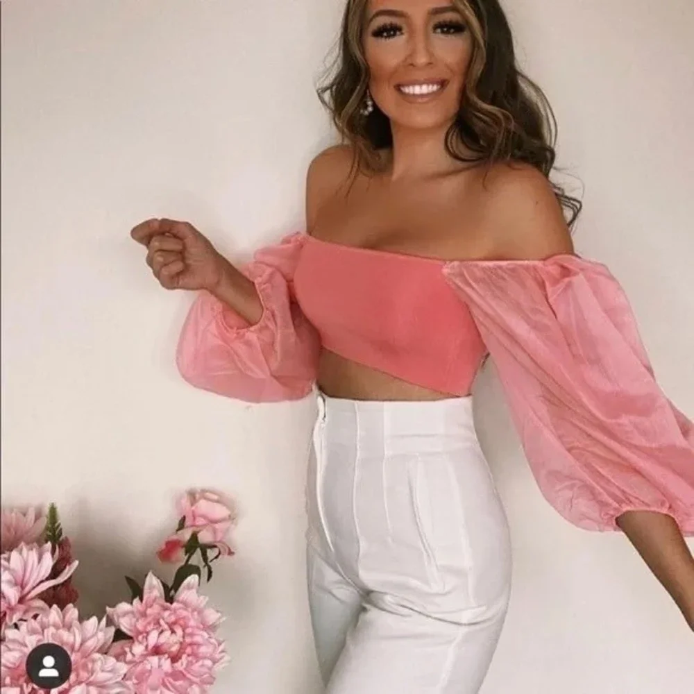 Zara Puff Sleeve Crop Top Pink Sheer Organza SOLD - Picture 1 of 16